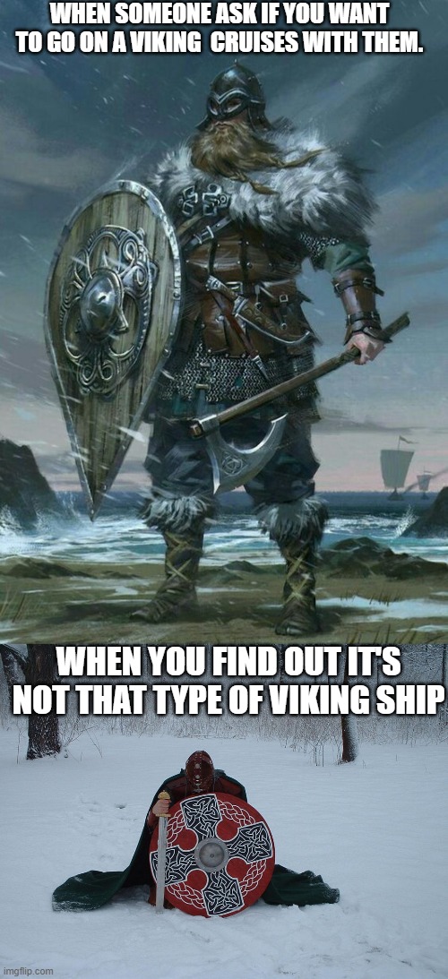 viking | WHEN SOMEONE ASK IF YOU WANT TO GO ON A VIKING  CRUISES WITH THEM. WHEN YOU FIND OUT IT'S NOT THAT TYPE OF VIKING SHIP | image tagged in viking cruise,ship,trip,viking | made w/ Imgflip meme maker