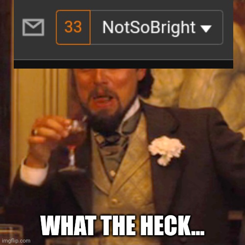 Laughing Leo | WHAT THE HECK... | image tagged in memes,laughing leo | made w/ Imgflip meme maker