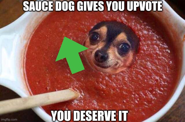 Do you accept? | SAUCE DOG GIVES YOU UPVOTE; YOU DESERVE IT | image tagged in dog,sauce,upvote | made w/ Imgflip meme maker