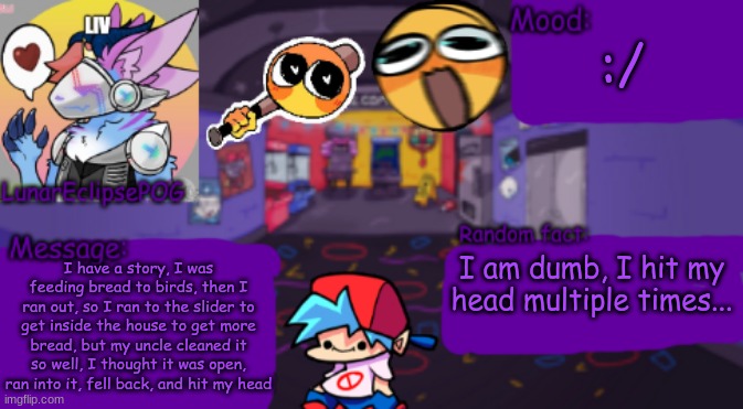 :/ | :/; I am dumb, I hit my head multiple times... I have a story, I was feeding bread to birds, then I ran out, so I ran to the slider to get inside the house to get more bread, but my uncle cleaned it so well, I thought it was open, ran into it, fell back, and hit my head | image tagged in lunareclipsepog temp,true story bro | made w/ Imgflip meme maker