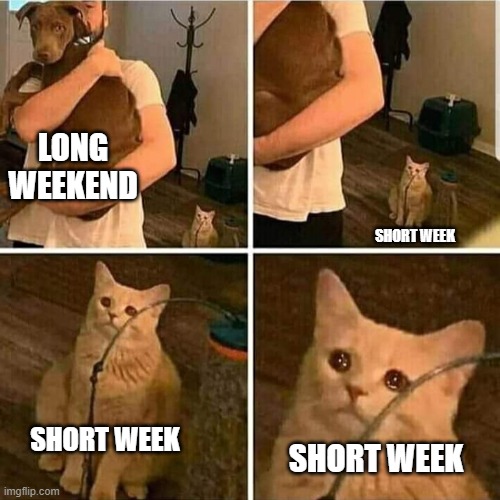 we need to appreciate it more |  LONG WEEKEND; SHORT WEEK; SHORT WEEK; SHORT WEEK | image tagged in sad cat holding dog | made w/ Imgflip meme maker