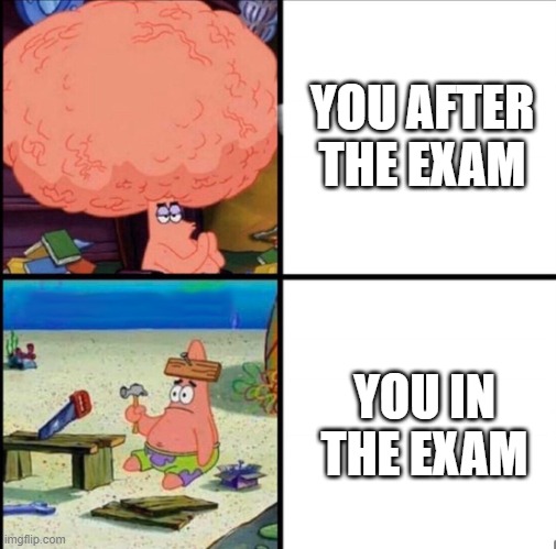 patrick big brain | YOU AFTER THE EXAM YOU IN THE EXAM | image tagged in patrick big brain | made w/ Imgflip meme maker