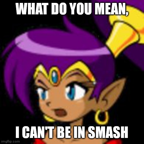 Sakurai! | WHAT DO YOU MEAN, I CAN'T BE IN SMASH | image tagged in shantae questioning | made w/ Imgflip meme maker