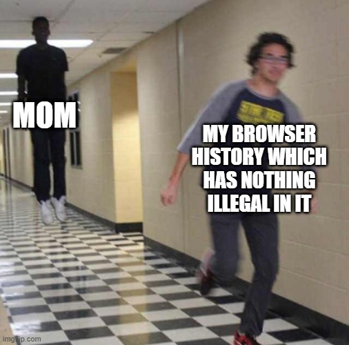 Real men use incognito | MOM; MY BROWSER HISTORY WHICH HAS NOTHING ILLEGAL IN IT | image tagged in floating boy chasing running boy | made w/ Imgflip meme maker