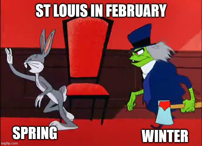 spring v winter | ST LOUIS IN FEBRUARY; SPRING; WINTER | image tagged in bugs bunny dr jekyll mr hyde | made w/ Imgflip meme maker