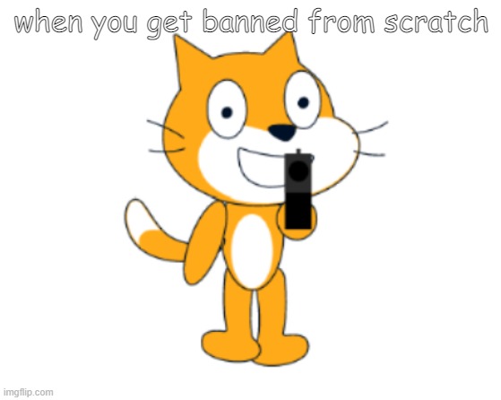 I'm permi banned ): | when you get banned from scratch | image tagged in scratch cat gun | made w/ Imgflip meme maker