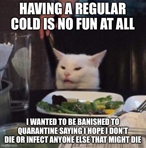 Annoyed White Cat | HAVING A REGULAR COLD IS NO FUN AT ALL; I WANTED TO BE BANISHED TO QUARANTINE SAYING I HOPE I DON’T DIE OR INFECT ANYONE ELSE THAT MIGHT DIE | image tagged in annoyed white cat | made w/ Imgflip meme maker