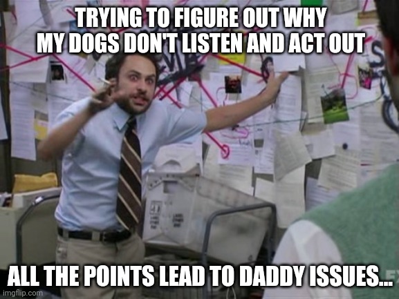Daddy issues | TRYING TO FIGURE OUT WHY MY DOGS DON'T LISTEN AND ACT OUT; ALL THE POINTS LEAD TO DADDY ISSUES... | image tagged in charlie day,dogs,daddy issues | made w/ Imgflip meme maker