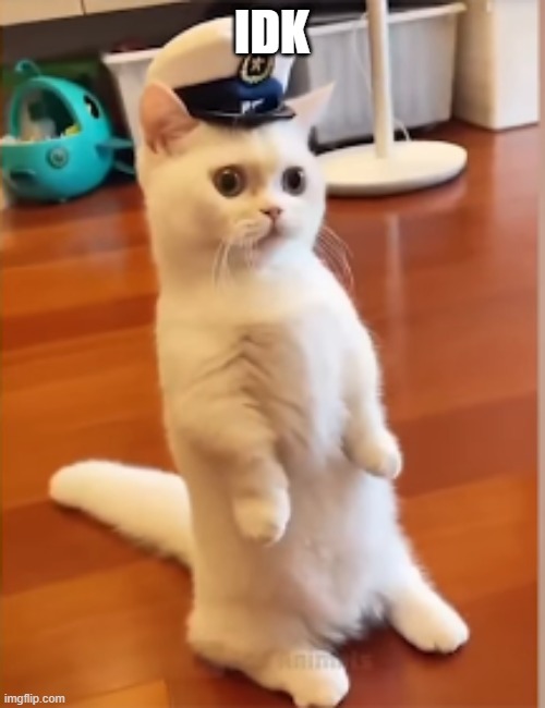 commander | IDK | image tagged in commander | made w/ Imgflip meme maker