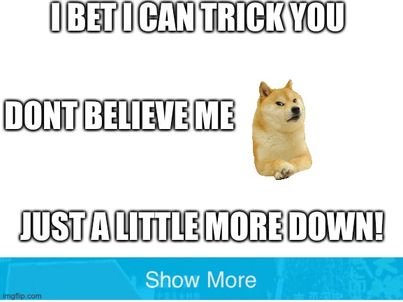 Did I get you! | I BET I CAN TRICK YOU; DONT BELIEVE ME; JUST A LITTLE MORE DOWN! | image tagged in blank white template | made w/ Imgflip meme maker