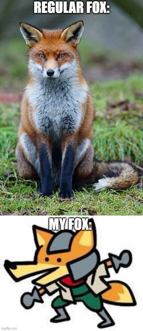 Foxes | REGULAR FOX:; MY FOX: | image tagged in fox | made w/ Imgflip meme maker