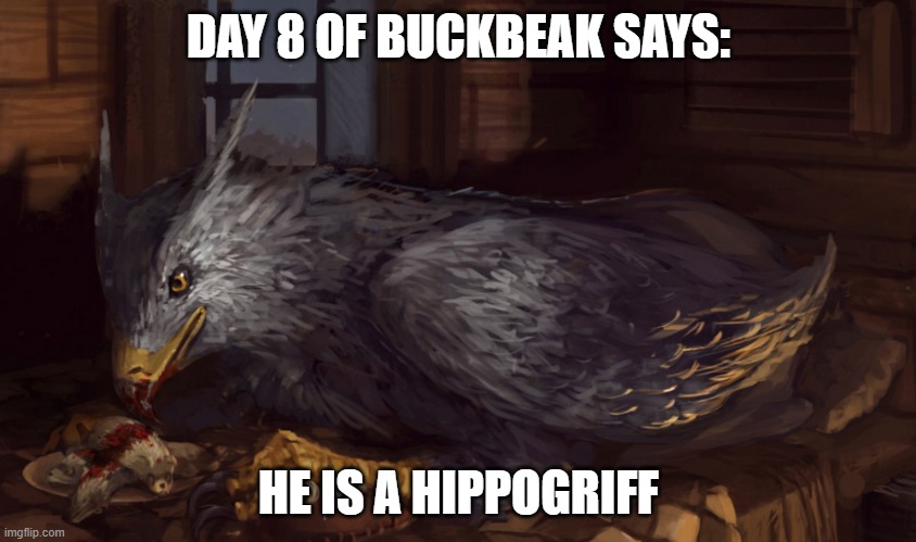 Buckbeak | DAY 8 OF BUCKBEAK SAYS:; HE IS A HIPPOGRIFF | image tagged in buckbeak | made w/ Imgflip meme maker