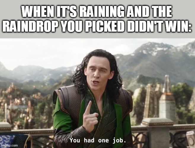 You had one job. Just the one | WHEN IT'S RAINING AND THE RAINDROP YOU PICKED DIDN'T WIN: | image tagged in you had one job just the one | made w/ Imgflip meme maker