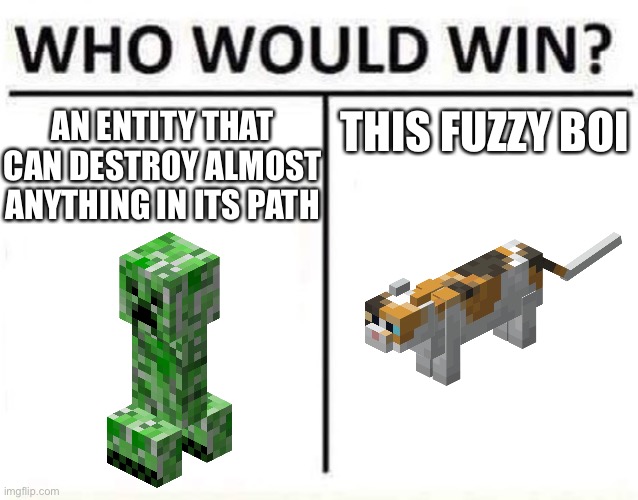 who would win | THIS FUZZY BOI; AN ENTITY THAT CAN DESTROY ALMOST ANYTHING IN ITS PATH | image tagged in who would win | made w/ Imgflip meme maker