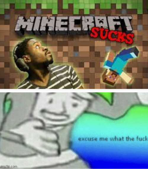 Minecraft Hater's Be Like: | image tagged in excuse me wtf blank template,minecraft memes,funny memes | made w/ Imgflip meme maker