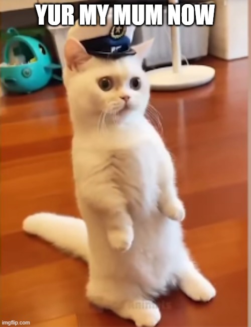 commander | YUR MY MUM NOW | image tagged in commander | made w/ Imgflip meme maker