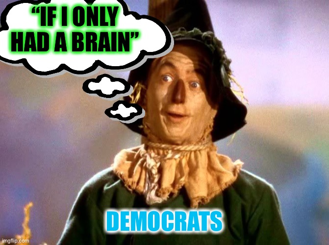 “IF I ONLY HAD A BRAIN” DEMOCRATS | made w/ Imgflip meme maker