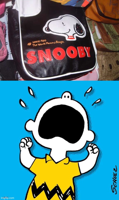 image tagged in charlie brown peanuts,bootleg,knockoff | made w/ Imgflip meme maker