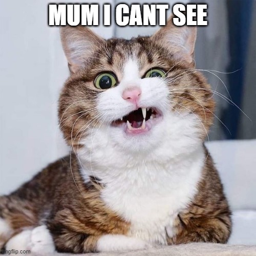 confused cat | MUM I CANT SEE | image tagged in confused cat | made w/ Imgflip meme maker