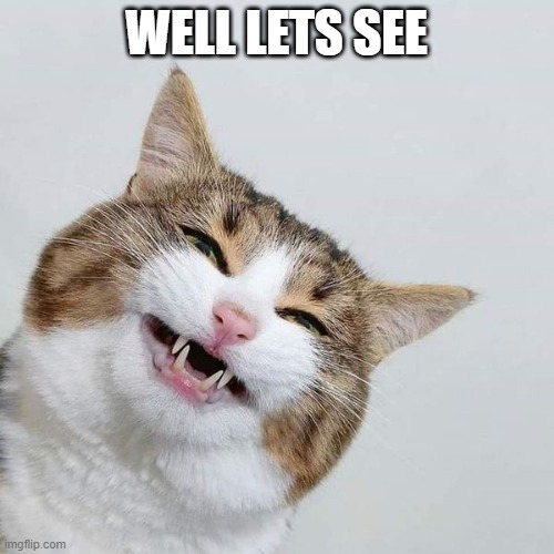 happy cat | WELL LETS SEE | image tagged in happy cat | made w/ Imgflip meme maker