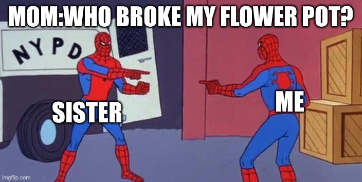 Spider Man Double | MOM:WHO BROKE MY FLOWER POT? SISTER; ME | image tagged in spider man double | made w/ Imgflip meme maker