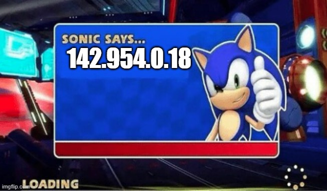 Sonic Says | 142.954.0.18 | image tagged in sonic says | made w/ Imgflip meme maker