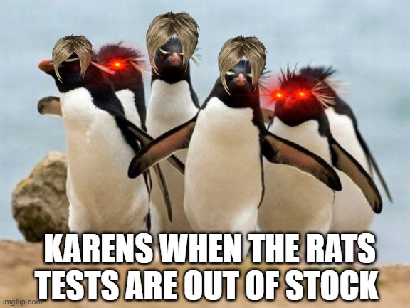 Penguin Gang Meme |  KARENS WHEN THE RATS TESTS ARE OUT OF STOCK | image tagged in memes,penguin gang | made w/ Imgflip meme maker