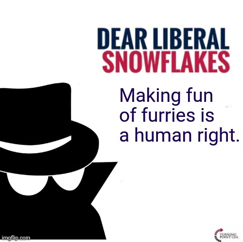 We have rhe right to mock furries | Making fun of furries is a human right. | image tagged in dear liberal snowflakes incognitoguy,anti furry,liberal hypocrisy | made w/ Imgflip meme maker