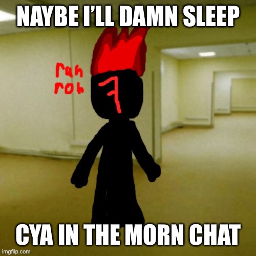 Flfiya | NAYBE I’LL DAMN SLEEP; CYA IN THE MORN CHAT | image tagged in flfiya | made w/ Imgflip meme maker