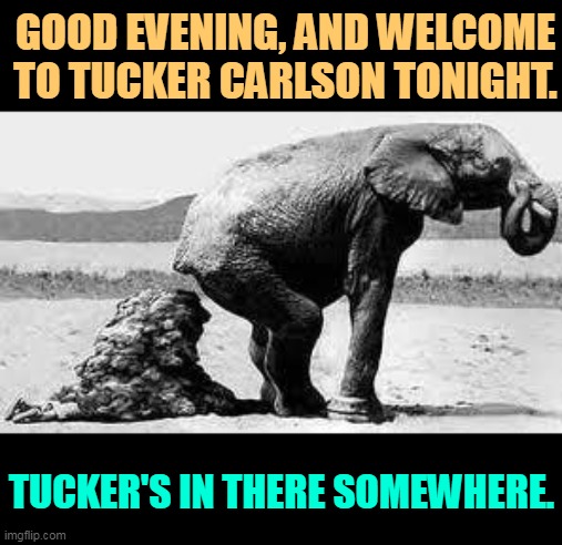 Good thing his show isn't on Smellovision. | GOOD EVENING, AND WELCOME TO TUCKER CARLSON TONIGHT. TUCKER'S IN THERE SOMEWHERE. | image tagged in elephant poopy,tucker carlson,liar,every,day | made w/ Imgflip meme maker