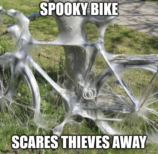 Nature's Theft Prevention | SPOOKY BIKE; SCARES THIEVES AWAY | image tagged in bike | made w/ Imgflip meme maker
