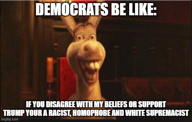 Democrats be like: | DEMOCRATS BE LIKE:; IF YOU DISAGREE WITH MY BELIEFS OR SUPPORT TRUMP YOUR A RACIST, HOMOPHOBE AND WHITE SUPREMACIST | image tagged in donkey,stupid liberals,crying democrats | made w/ Imgflip meme maker
