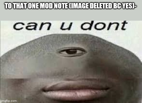 (Mod note: use the comments, dumbass) | TO THAT ONE MOD NOTE (IMAGE DELETED BC YES)- | image tagged in can you dont | made w/ Imgflip meme maker