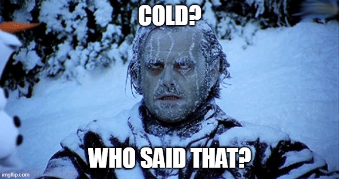 Freezing cold | COLD? WHO SAID THAT? | image tagged in freezing cold | made w/ Imgflip meme maker