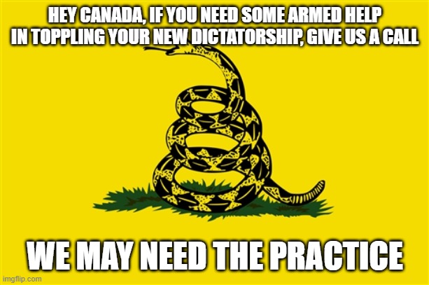 dont tread on me | HEY CANADA, IF YOU NEED SOME ARMED HELP IN TOPPLING YOUR NEW DICTATORSHIP, GIVE US A CALL; WE MAY NEED THE PRACTICE | image tagged in dont tread on me | made w/ Imgflip meme maker