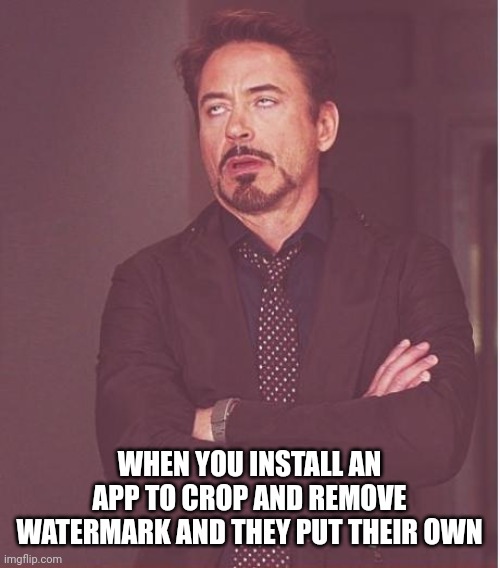 Witch app doesn't? Plz suggest | WHEN YOU INSTALL AN APP TO CROP AND REMOVE WATERMARK AND THEY PUT THEIR OWN | image tagged in memes,face you make robert downey jr | made w/ Imgflip meme maker