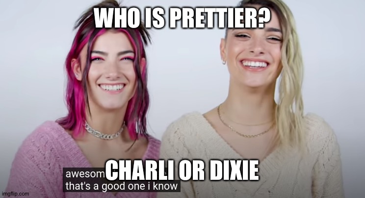 Charli and Dixie D'Amelio | WHO IS PRETTIER? CHARLI OR DIXIE | image tagged in thats a good one | made w/ Imgflip meme maker