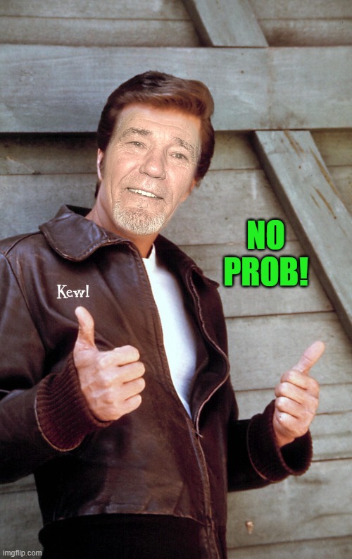 Johnny Kewl | NO PROB! | image tagged in johnny kewl | made w/ Imgflip meme maker