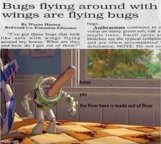 HmMm YeS | image tagged in hmm yes the floor here is made out of floor,specific,funny news | made w/ Imgflip meme maker