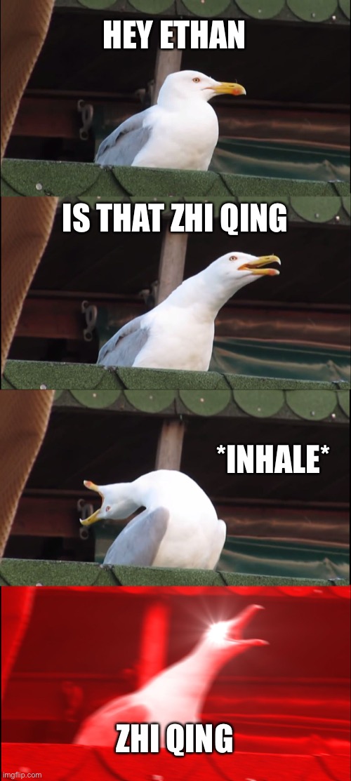 HEY ETHAN IS THAT ZHI QING *INHALE* ZHI QING | image tagged in memes,inhaling seagull | made w/ Imgflip meme maker