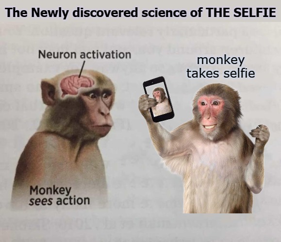 The Newly discovered science of THE SELFIE; monkey takes selfie | image tagged in monke | made w/ Imgflip meme maker