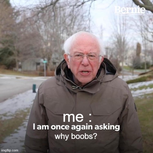 Bernie I Am Once Again Asking For Your Support Meme | me : why boobs? | image tagged in memes,bernie i am once again asking for your support | made w/ Imgflip meme maker