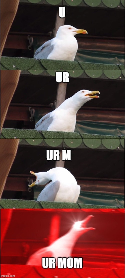 Inhaling Seagull | U; UR; UR M; UR MOM | image tagged in memes,inhaling seagull | made w/ Imgflip meme maker