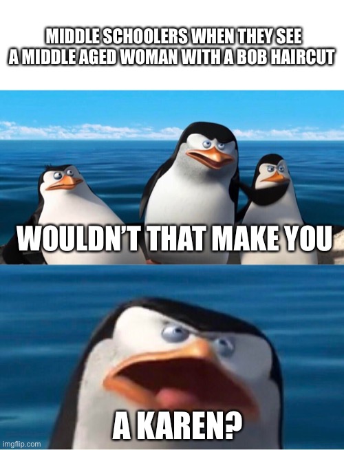 Middle schoolers think their funny | MIDDLE SCHOOLERS WHEN THEY SEE A MIDDLE AGED WOMAN WITH A BOB HAIRCUT; WOULDN’T THAT MAKE YOU; A KAREN? | image tagged in bobcut,karen,middleschoolers,penguins of madagascar,memes,funny | made w/ Imgflip meme maker