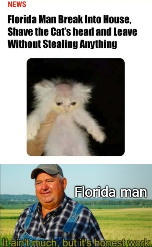 Florida man | image tagged in florida | made w/ Imgflip meme maker