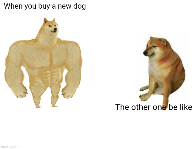 Buff Doge vs. Cheems | When you buy a new dog; The other one be like | image tagged in memes,buff doge vs cheems | made w/ Imgflip meme maker