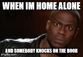 Kevin Hart | WHEN IM HOME ALONE AND SOMEBODY KNOCKS ON THE DOOR | image tagged in memes,kevin hart the hell | made w/ Imgflip meme maker