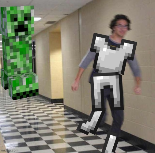ZZZZZ | image tagged in minecraft | made w/ Imgflip meme maker