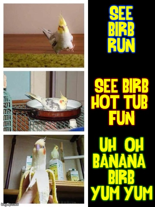 The Adventures of Birb | SEE
BIRB
RUN; SEE BIRB
HOT TUB 
FUN; UH  OH
BANANA 
BIRB
YUM YUM | image tagged in vince vance,birb,memes,birds,frying pan,banana | made w/ Imgflip meme maker