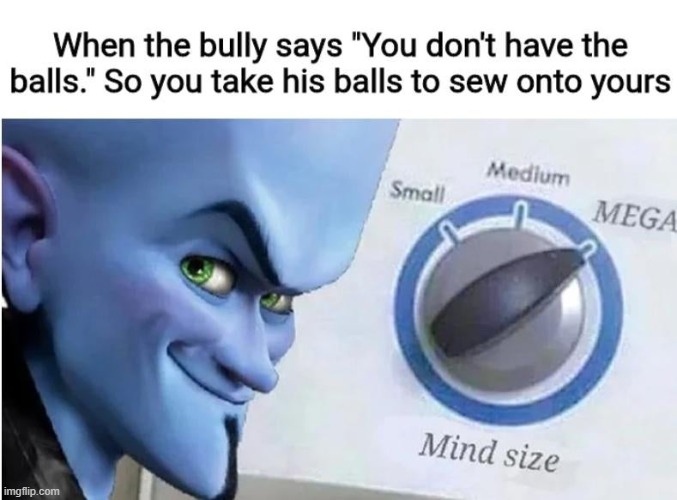 The balls | image tagged in megamind,funny,balls | made w/ Imgflip meme maker